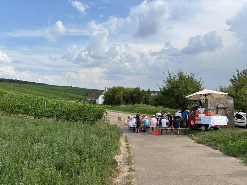 15.08.2026 REBENRAUSCHEN